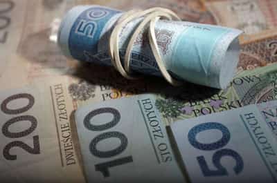 Image for Zloty set to pace FX gains with rate hike back in sight- Reuters poll