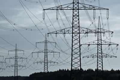 Image for Global business leaders back faster electrification shift