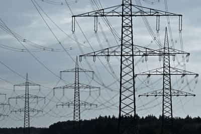 Image for Global business leaders back faster electrification shift