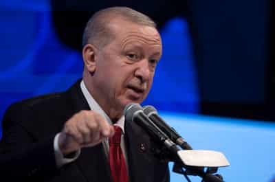 Image for Erdogan tells Hungary's Magyar he believes bilateral ties will progress, Turkish presidency says