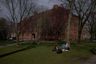 Image for Trump says Harvard University's tax-exempt status will be revoked