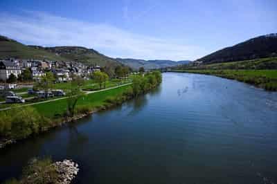 Image for Freight shipping on Mosel river in Germany blocked after accident