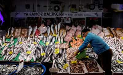 Image for Explainer-What&#8217;s at stake in WTO talks on fishing rules?