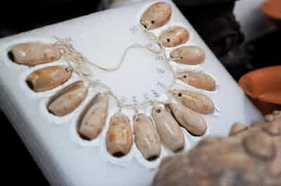 Image for Below a pyramid, a treasure trove sheds new light on ancient Mexican rites