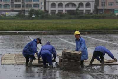 Image for China evacuates over one million as Typhoon Bavi nears