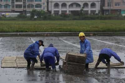 Image for China evacuates over one million as Typhoon Bavi nears