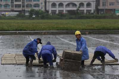 Image for China evacuates over one million as Typhoon Bavi nears