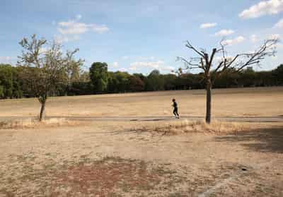 Image for UK summer was hottest on record, Met Office says, after severe heat, drought