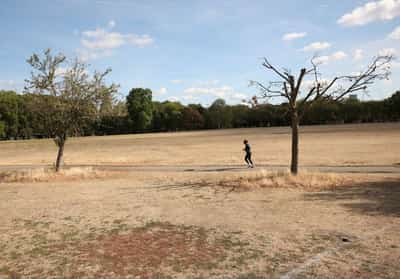 Image for UK summer was hottest on record, Met Office says, after severe heat, drought