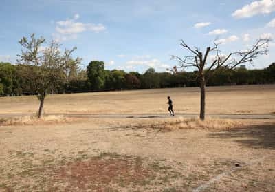 Image for UK summer was hottest on record, Met Office says, after severe heat, drought