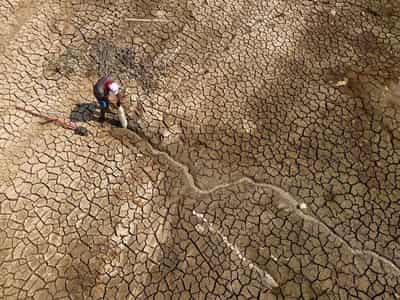 Image for Current climate pledges still fall way short on Paris goals, UN body says