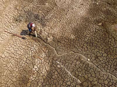 Image for Current climate pledges still fall way short on Paris goals, UN body says