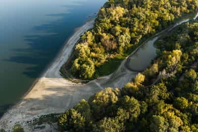Image for Hungarians curb power use as record low Danube waters trigger energy crunch