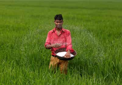 Image for India in talks with Russia, Belarus, Morocco to boost fertiliser imports, sources say