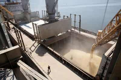 Image for Ukraine grain exports face unreasonably high Danube port tariffs -official