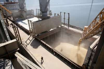 Image for Ukraine grain exports face unreasonably high Danube port tariffs -official