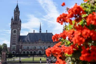 Image for Germany asks UN top court to throw out Israel arms export case