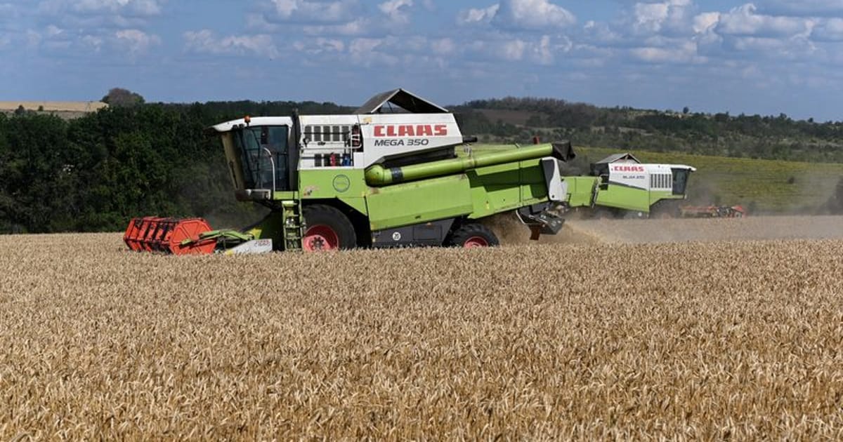 Sea of Azov Shipping Restrictions Impact Russian Grain Exports