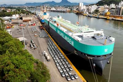 Image for Car shipper says US tariff haze still affecting auto trade flows