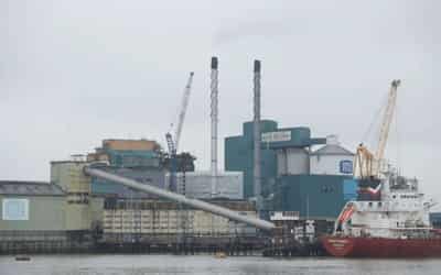 Image for Tate &amp; Lyle sees annual profit modestly ahead of last year