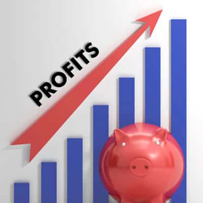 Image for SMES SHUN NEW MARKETS IN FAVOUR OF DOMESTIC GROWTH