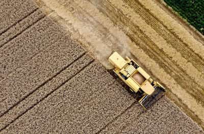 Image for EU wants farming subsidy cap in budget overhaul, draft shows