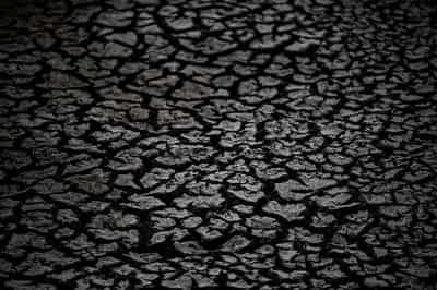 Image for Hungary's Lake Velence drying up, threatening tourism and wildlife