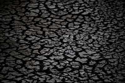Image for Hungary's Lake Velence drying up, threatening tourism and wildlife