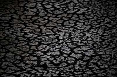 Image for Hungary's Lake Velence drying up, threatening tourism and wildlife