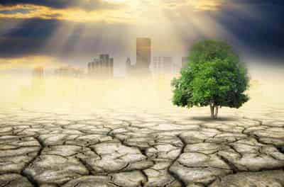 Image for Feeling the heat: Banks eye climate change risk