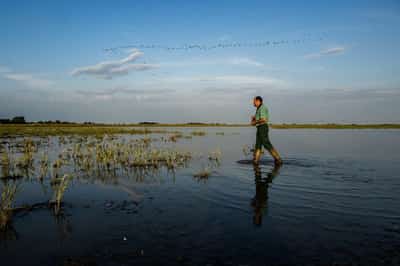 Image for Hungary channels water to protect UNESCO bird haven amid drought