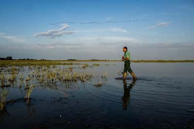 Image for Hungary channels water to protect UNESCO bird haven amid drought
