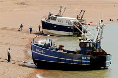 Image for EU extends temporary catch limits on fish stocks shared with Britain