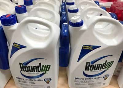 Image for U.S. Supreme Court takes no action on Bayer bid to nix weedkiller suits
