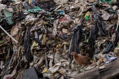 Image for Exclusive-Trump administration memo urges countries to reject plastic production caps in UN Treaty