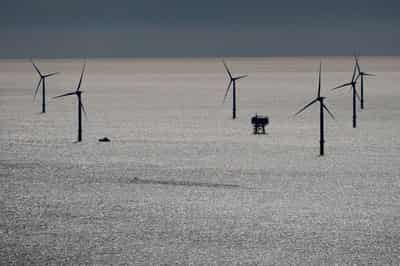 Image for EU countries split over 2040 climate goal as COP30 looms