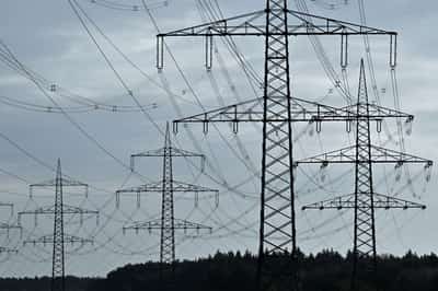 Image for German grid fee plans would cost $6.5 billion annually, 50Hertz chief says