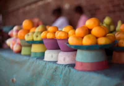 Image for South African citrus growers say EU pest rules putting squeeze on exports