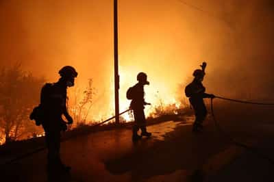 Image for Devastating Greek wildfires stoke fear of faulty power lines