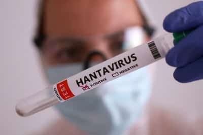 Image for WHO reports six confirmed hantavirus cases tied to Spain-bound cruise