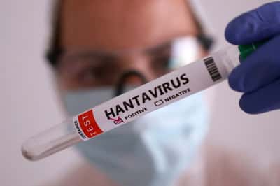 Image for WHO reports six confirmed hantavirus cases tied to Spain-bound cruise
