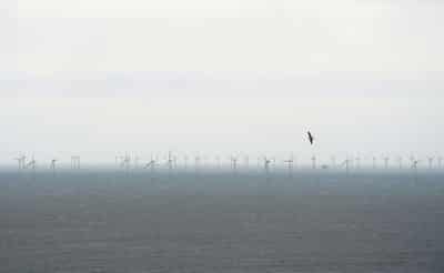 Image for Macquarie taps renewables trend with $2 billion infrastructure fund