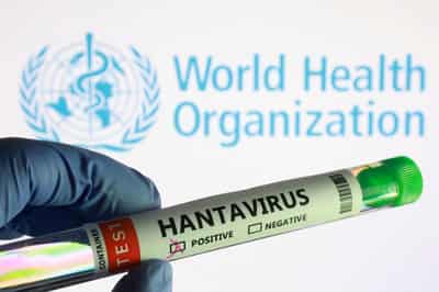 Image for Experts race to write guidance to contain first ship-borne hantavirus outbreak