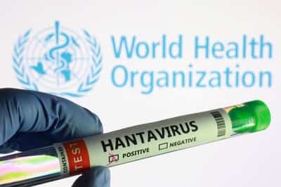 Image for Experts race to write guidance to contain first ship-borne hantavirus outbreak