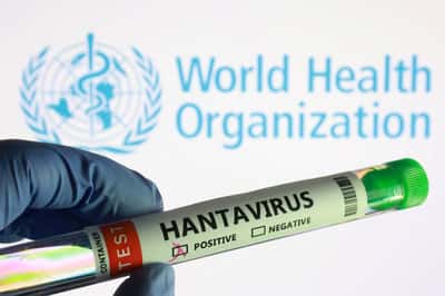 Image for Experts race to write guidance to contain first ship-borne hantavirus outbreak