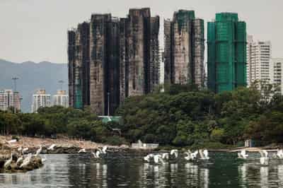 Image for Hong Kong fire death toll rises to 160