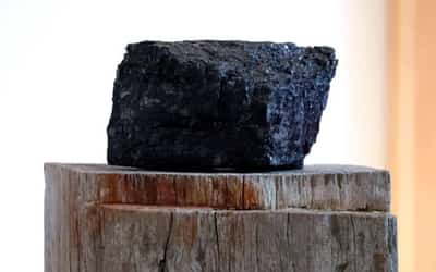 Image for Investors call for private firms to disclose more environmental data