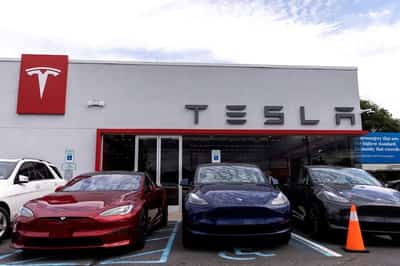 Image for Tesla sales down in France, Scandinavia as Musk faces test of brand