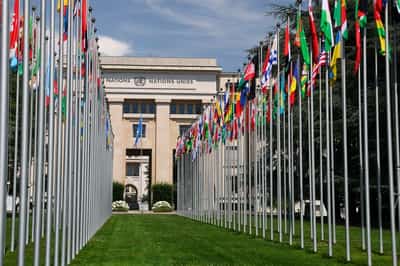 Image for UN to hold informal polls for new UN chief from Thursday