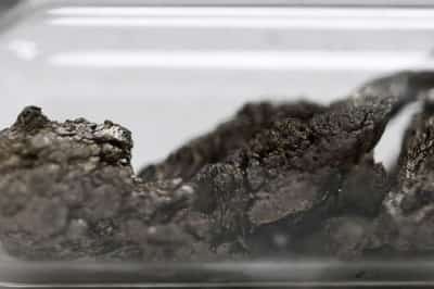 Image for Brazil rare earths miner Viridis to sell to US, European buyers, not China, CEO says